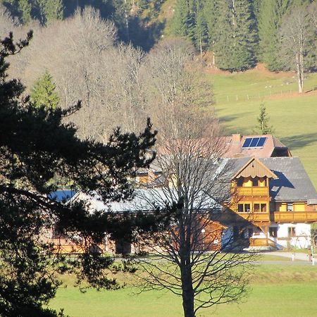 Obergrabnerhof Apartment Ramsau am Dachstein Bagian luar foto