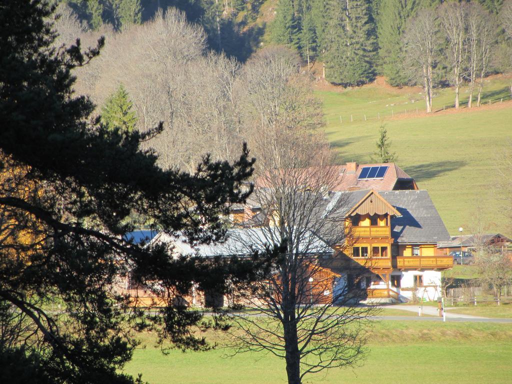 Obergrabnerhof Apartment Ramsau am Dachstein Bagian luar foto